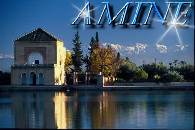 amine et lmnara